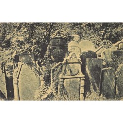 Rare collectable postcards of JUDAICA. Vintage Postcards of JUDAICA