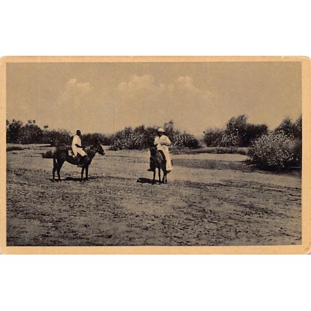 Rare collectable postcards of Eritrea. Vintage Postcards of Eritrea