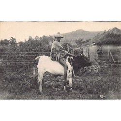 Rare collectable postcards of Lesotho. Vintage Postcards of Lesotho
