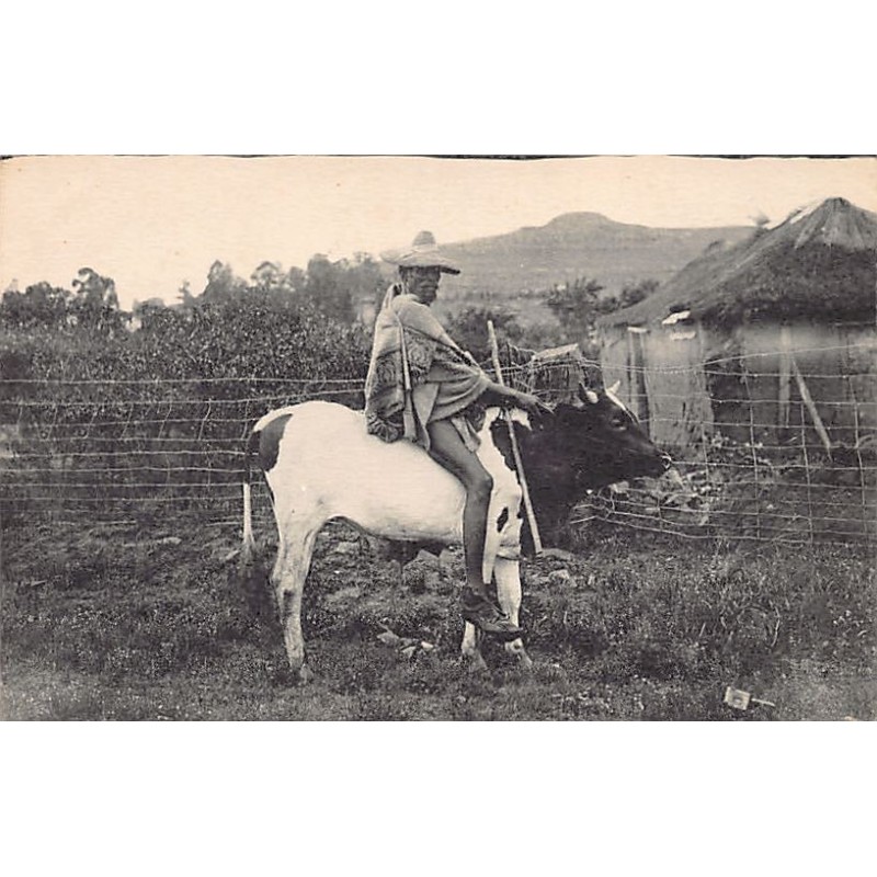 Rare collectable postcards of Lesotho. Vintage Postcards of Lesotho