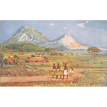 Rare collectable postcards of Malawi. Vintage Postcards of Malawi