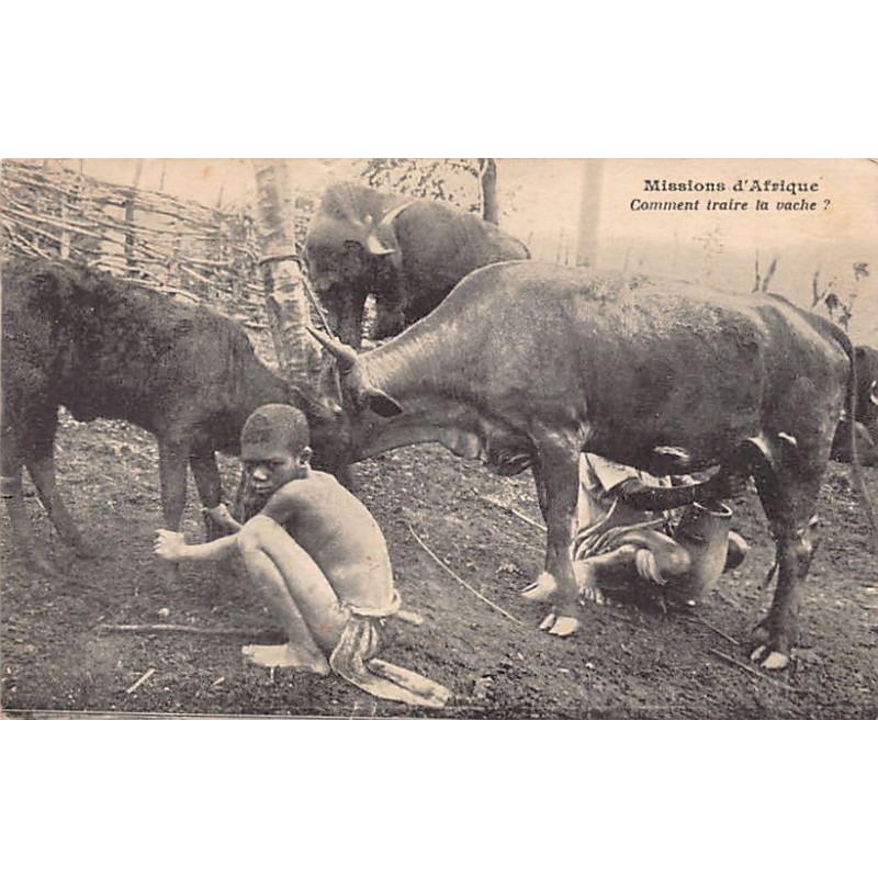 Rare collectable postcards of South Africa. Vintage Postcards of South Africa