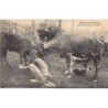 Rare collectable postcards of South Africa. Vintage Postcards of South Africa