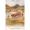 Rare collectable postcards of South Africa. Vintage Postcards of South Africa