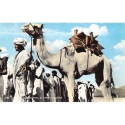 Rare collectable postcards of Sudan. Vintage Postcards of Sudan