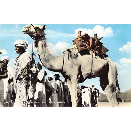 Rare collectable postcards of Sudan. Vintage Postcards of Sudan