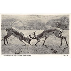 Rare collectable postcards of Zimbabwe. Vintage Postcards of Zimbabwe
