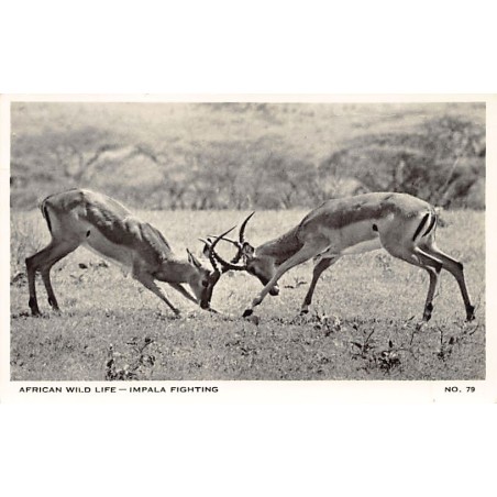 Rare collectable postcards of Zimbabwe. Vintage Postcards of Zimbabwe