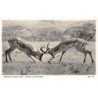 Rare collectable postcards of Zimbabwe. Vintage Postcards of Zimbabwe