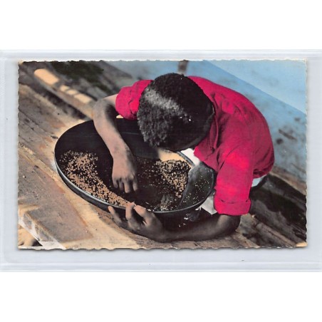 Rare collectable postcards of CÔTE D'IVOIRE. Vintage Postcards of CÔTE D'IVOIRE