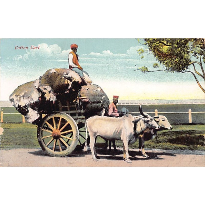 Rare collectable postcards of India. Vintage Postcards of India