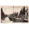 Rare collectable postcards of Israel / Palestine. Vintage Postcards of Israel / Palestine