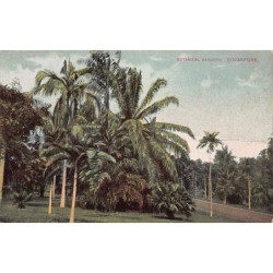 Rare collectable postcards of Singapore. Vintage Postcards of Singapore