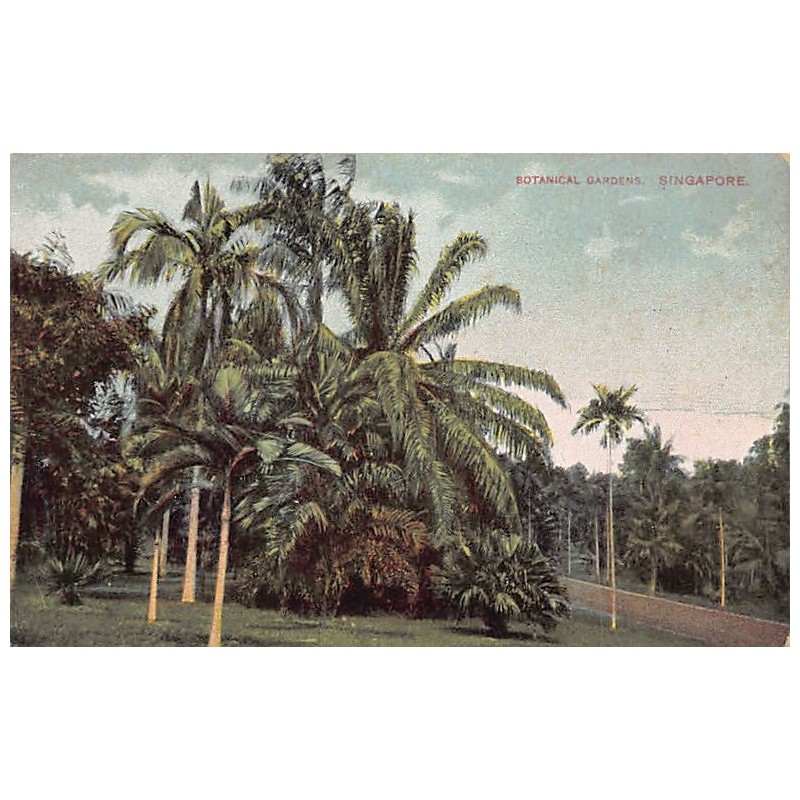Rare collectable postcards of Singapore. Vintage Postcards of Singapore