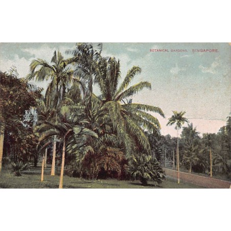 Rare collectable postcards of Singapore. Vintage Postcards of Singapore