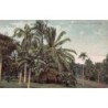 Rare collectable postcards of Singapore. Vintage Postcards of Singapore