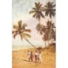 Rare collectable postcards of Sri Lanka (Ceylon). Vintage Postcards of Sri Lanka (Ceylon)