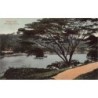 Rare collectable postcards of Sri Lanka (Ceylon). Vintage Postcards of Sri Lanka (Ceylon)