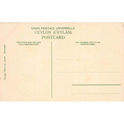 Rare collectable postcards of Sri Lanka (Ceylon). Vintage Postcards of Sri Lanka (Ceylon)