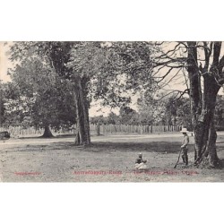 Rare collectable postcards of Sri Lanka (Ceylon). Vintage Postcards of Sri Lanka (Ceylon)