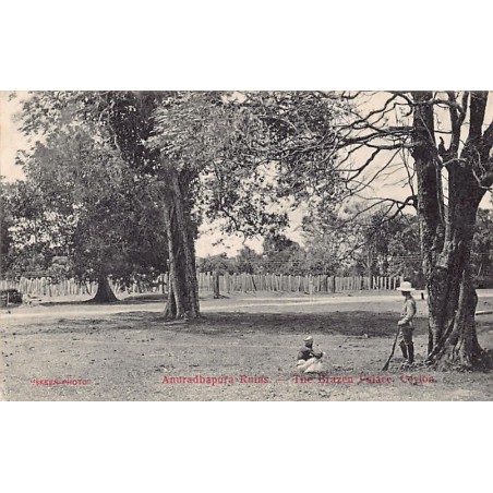 Rare collectable postcards of Sri Lanka (Ceylon). Vintage Postcards of Sri Lanka (Ceylon)