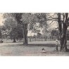 Rare collectable postcards of Sri Lanka (Ceylon). Vintage Postcards of Sri Lanka (Ceylon)