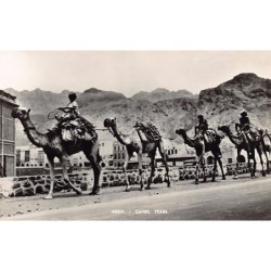Rare collectable postcards of Yemen. Vintage Postcards of Yemen