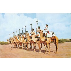 Rare collectable postcards of Yemen. Vintage Postcards of Yemen