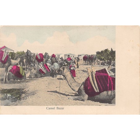 Rare collectable postcards of Yemen. Vintage Postcards of Yemen