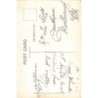 Rare collectable postcards of Yemen. Vintage Postcards of Yemen