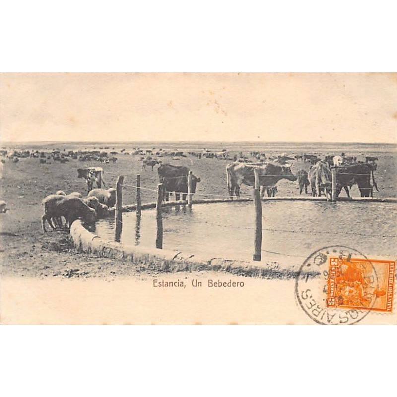Rare collectable postcards of Argentina. Vintage Postcards of Argentina