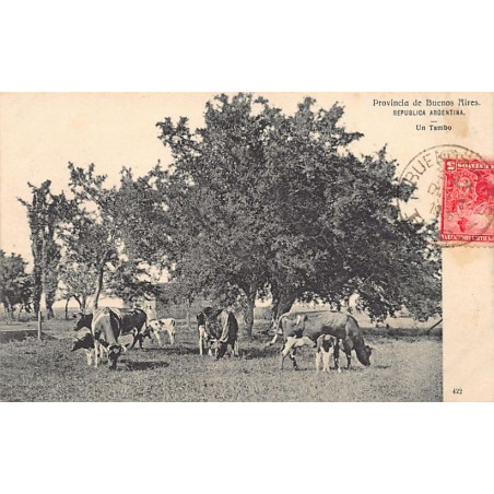 Rare collectable postcards of Argentina. Vintage Postcards of Argentina