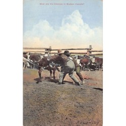 Rare collectable postcards of Canada. Vintage Postcards of Canada