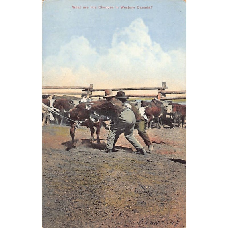 Rare collectable postcards of Canada. Vintage Postcards of Canada