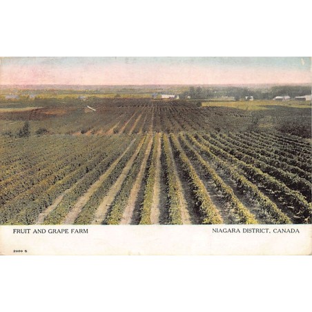 Rare collectable postcards of Canada. Vintage Postcards of Canada