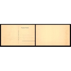 Rare collectable postcards of Chile. Vintage Postcards of Chile