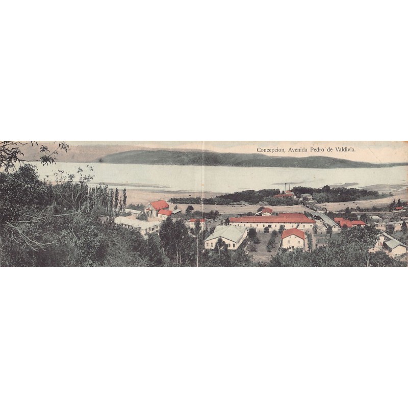 Rare collectable postcards of Chile. Vintage Postcards of Chile