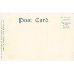 Rare collectable postcards of United States. Vintage Postcards of United States