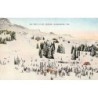 Rare collectable postcards of United States. Vintage Postcards of United States