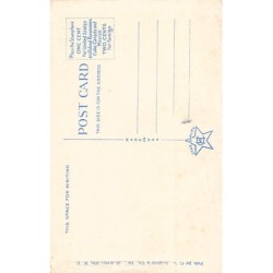 Rare collectable postcards of United States. Vintage Postcards of United States