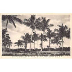 Rare collectable postcards of Virgin Islands, US. Vintage Postcards of Virgin Islands, US