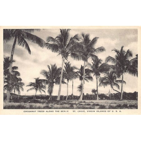 Rare collectable postcards of Virgin Islands, US. Vintage Postcards of Virgin Islands, US