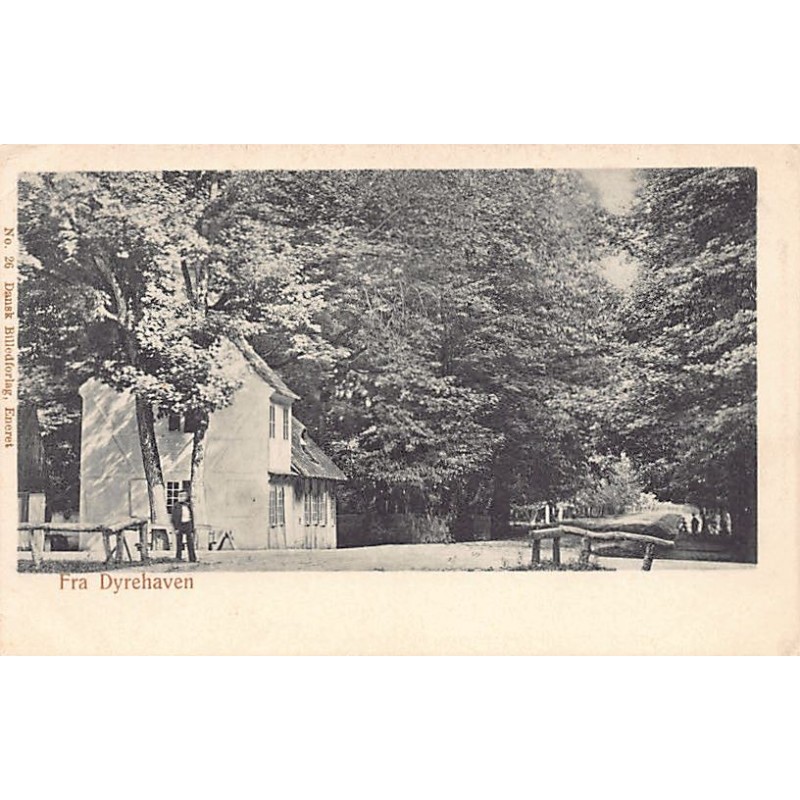 Rare collectable postcards of Denmark. Vintage Postcards of Denmark