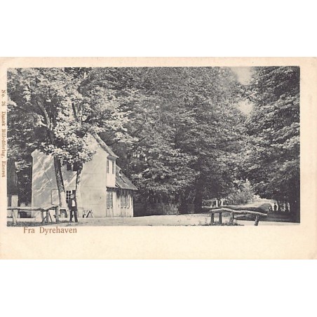 Rare collectable postcards of Denmark. Vintage Postcards of Denmark