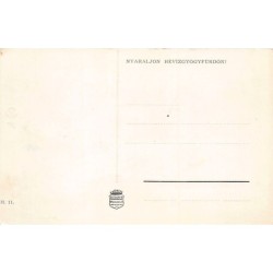 Rare collectable postcards of Hungary. Vintage Postcards of Hungary