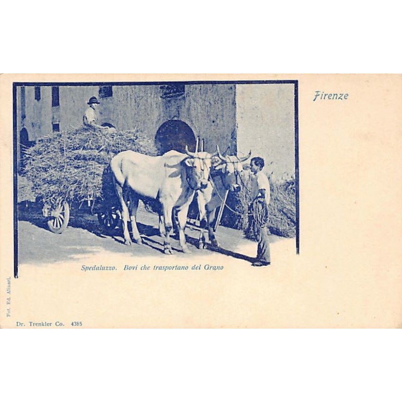 Rare collectable postcards of Italy. Vintage Postcards of Italy