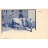 Rare collectable postcards of Italy. Vintage Postcards of Italy