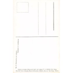 Rare collectable postcards of Netherlands. Vintage Postcards of Netherlands