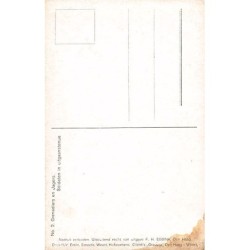 Rare collectable postcards of Netherlands. Vintage Postcards of Netherlands