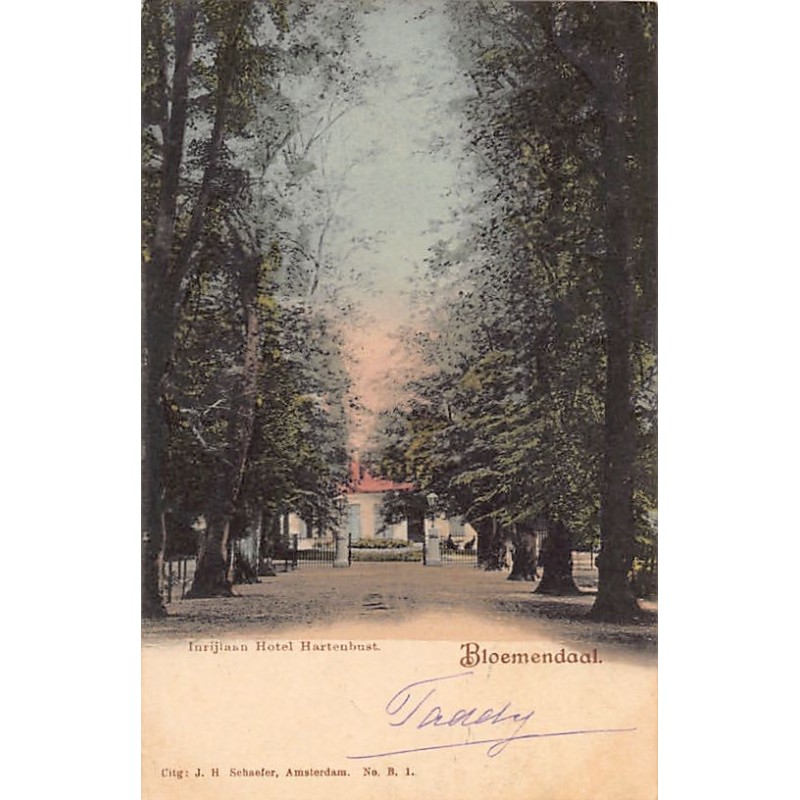 Rare collectable postcards of Netherlands. Vintage Postcards of Netherlands